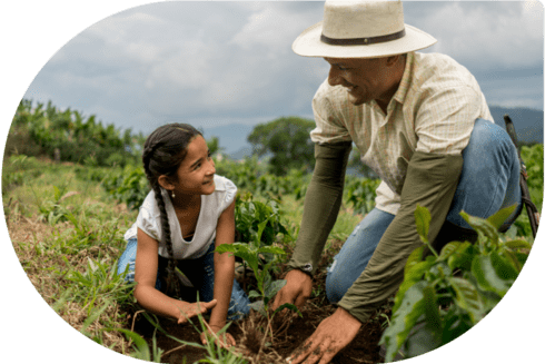 Build the Americas app  - Trade Initiatives  - Inter American Development Bank - IDB